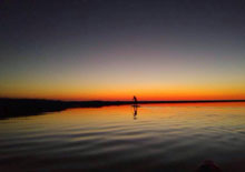 susan paddleboard2