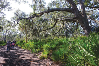 St Phillips Ranger Megan Leads Interpretive Walk Through Maritime Forest