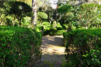 garden Francis Parker Garden