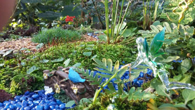 garden Linda Fred Peters 2
