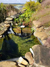 garden Susan Tom Harden 2