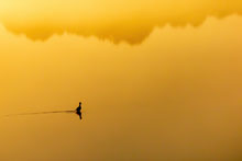 photo Golden Hour Joan Eckhardt