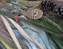 garden-grasses-rushes