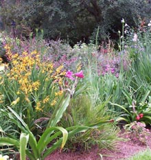 garden-bed