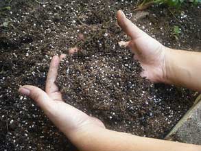 HandsInSoil
