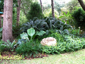 garden-pic