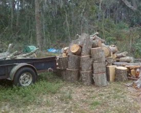 garden-wood-pile